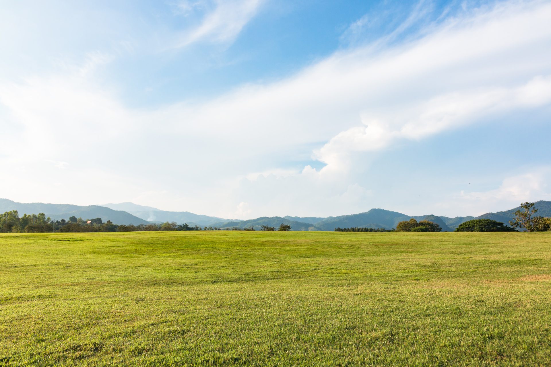 From Fields to Panels: How Solar PV is Reshaping Agriculture in Ireland
