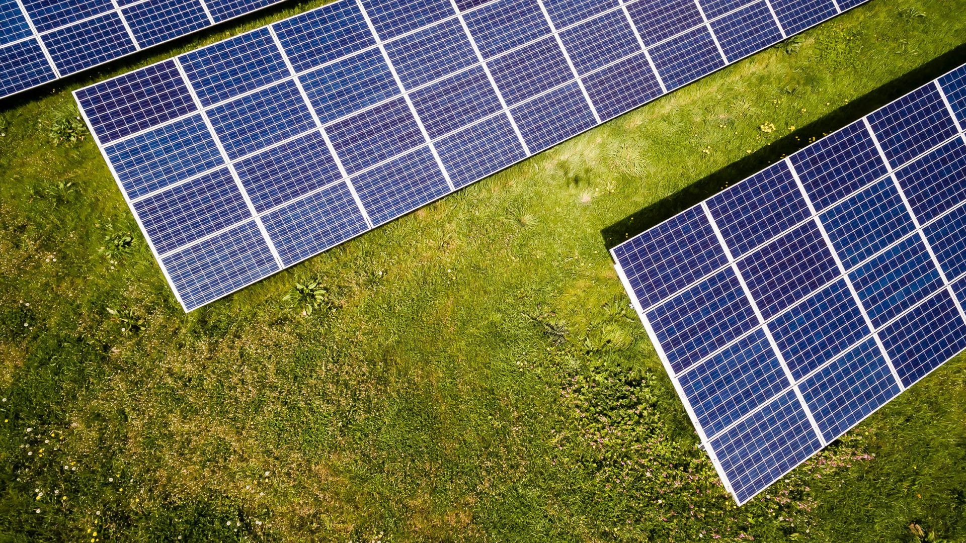 Ireland Loves Solar!