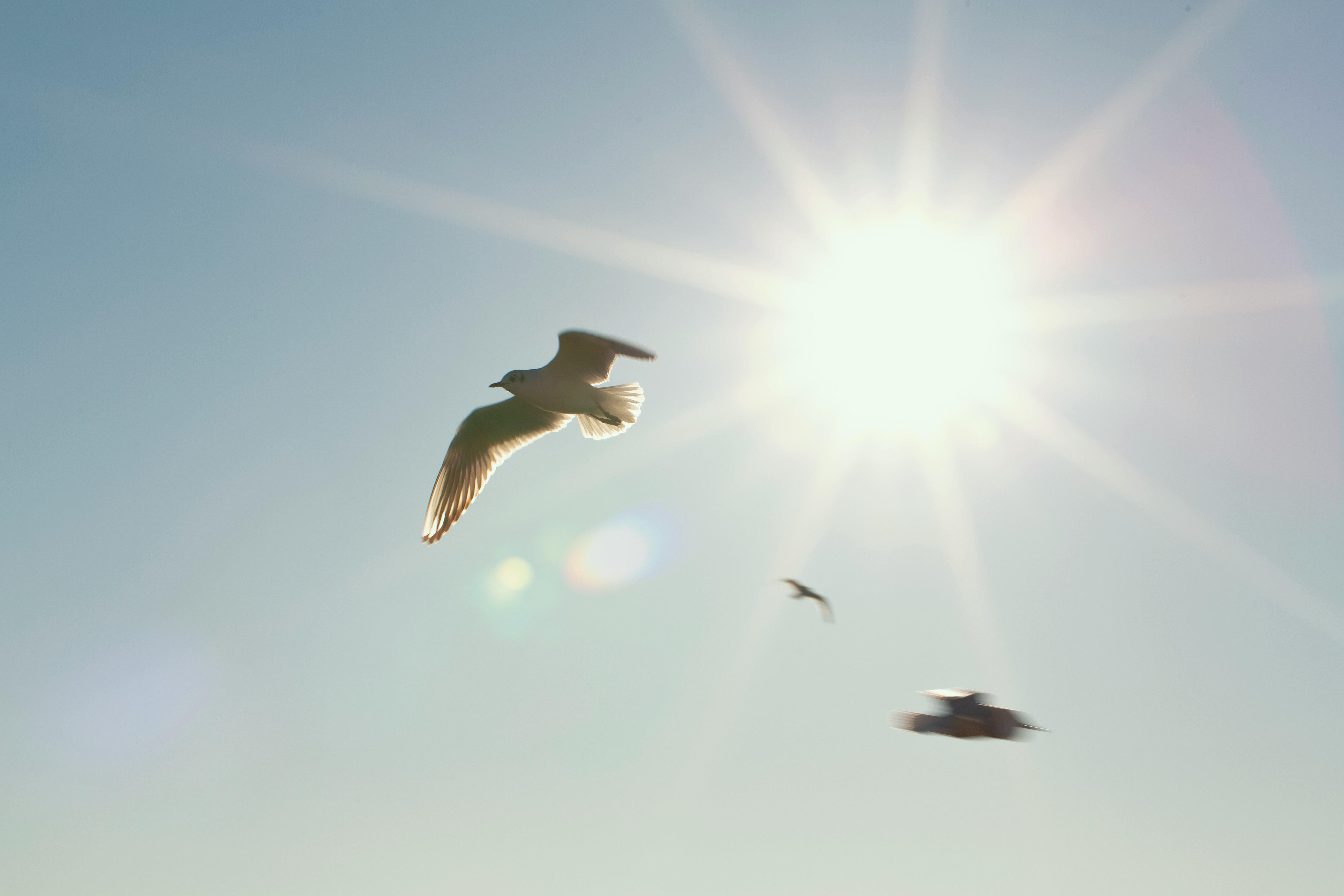 Spring Into Solar