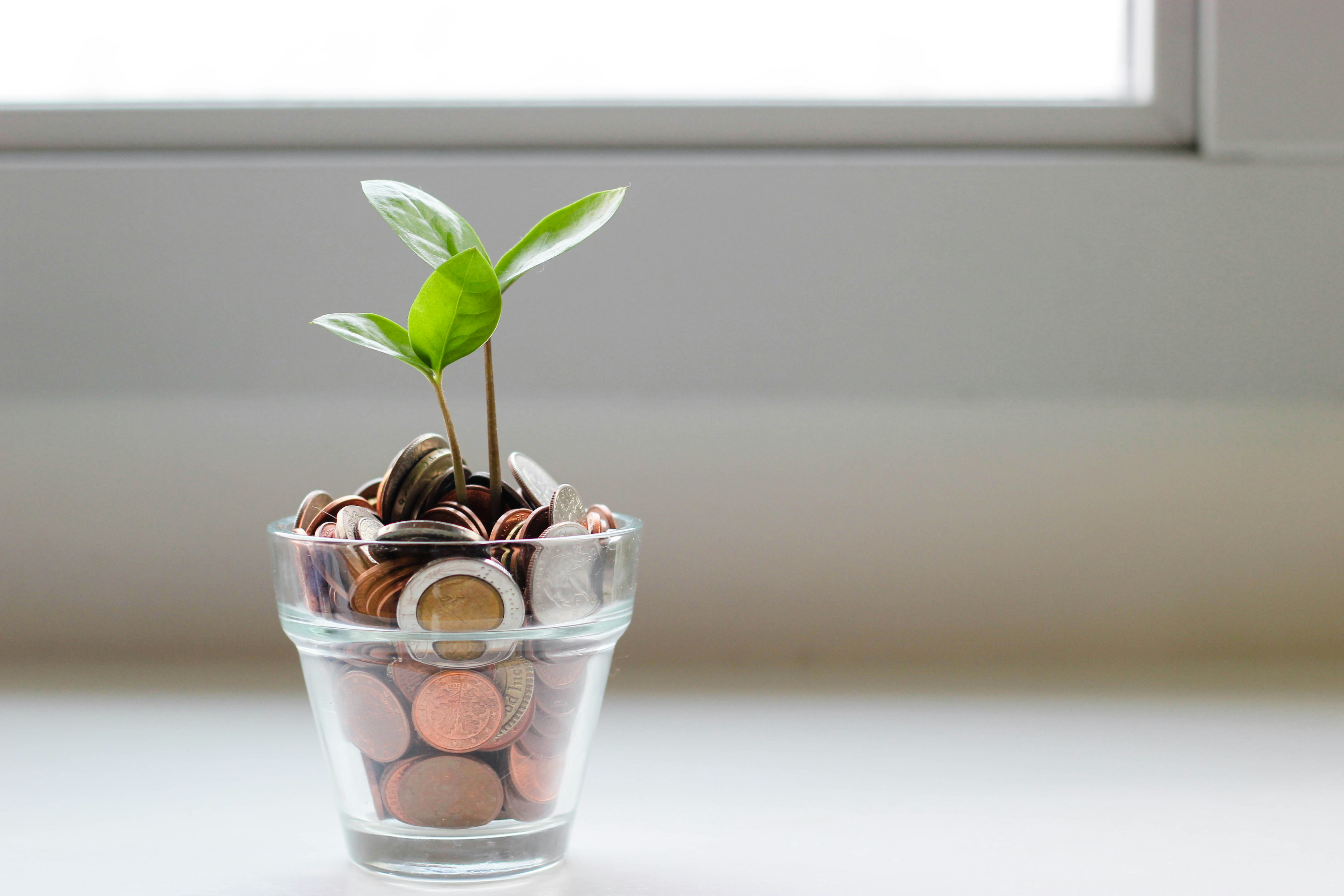 Budget 2027 – How Did The Environment Fair?